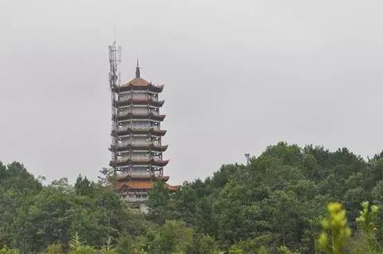 攸县大同桥罗家潭抖音视频,攸县乡村文化景点