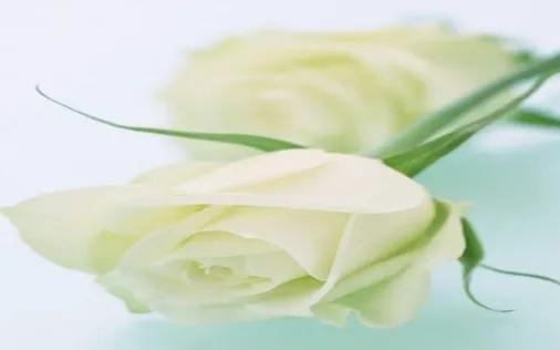 高中语文议论文关于选择,高中必考语文议论文论题大全