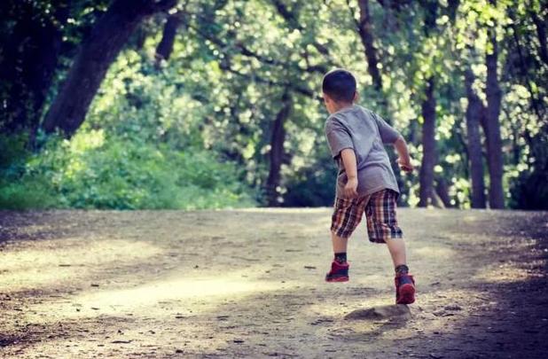 孩子总是无法独立怎么办？父母可用“狐狸法则”，懂得适当放手