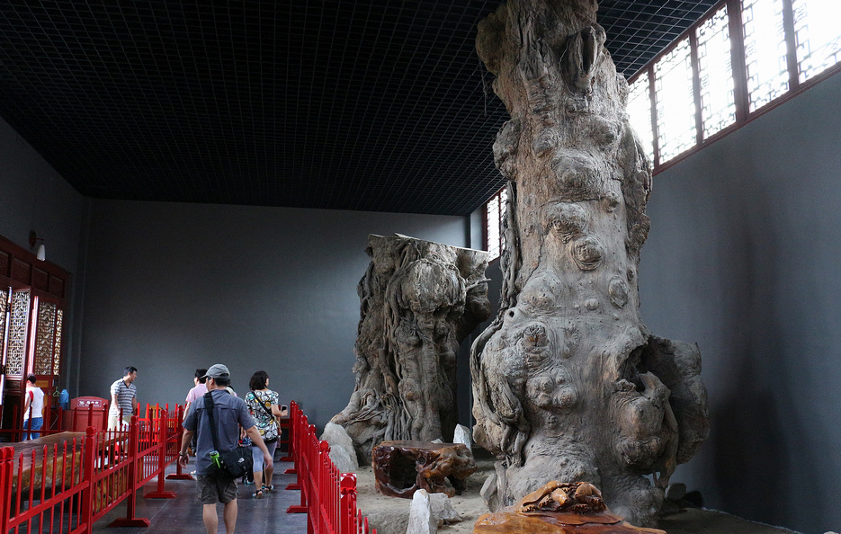 蓬莱人间仙境美景,绝美的人间仙境可遇不可求视频