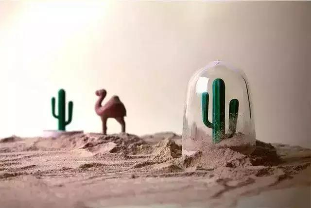 种草指南！高颜值厨具一网打尽，从此爱上下厨