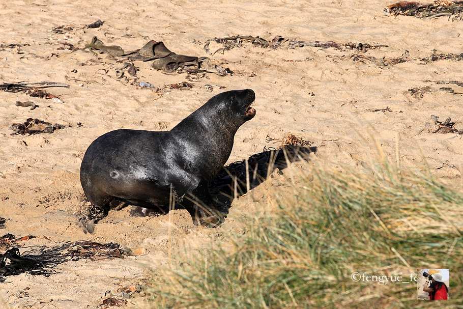 新西兰有哪些景观,新西兰风景最好的地方在哪里