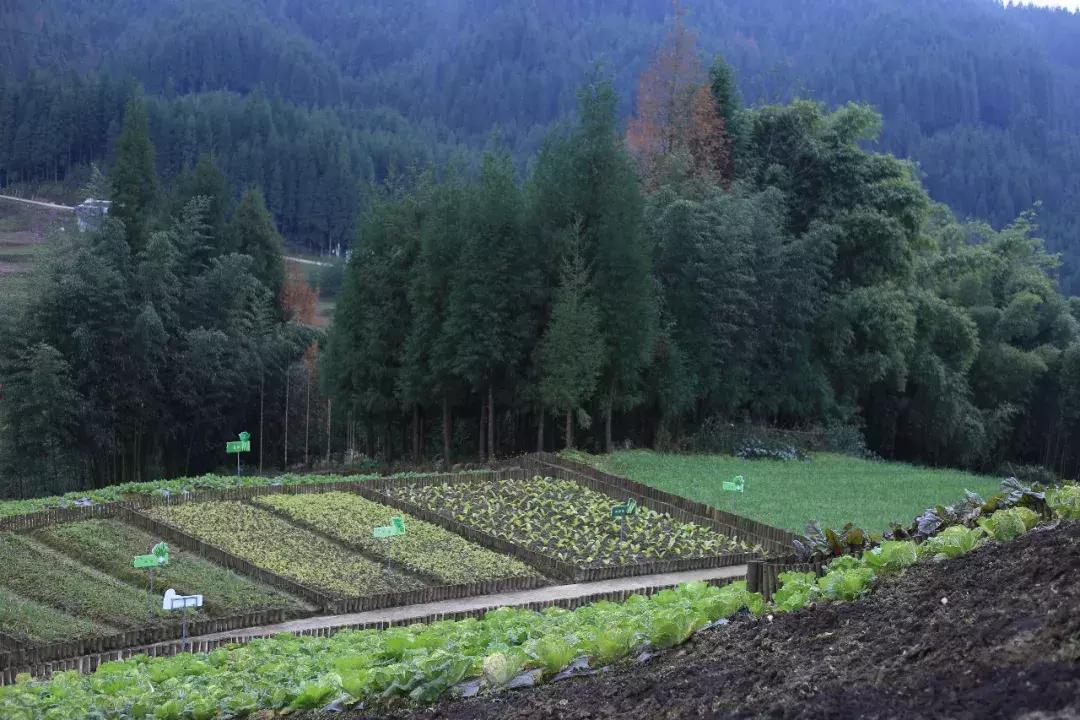 绠椾竴绗旂粡娴庤处,绠椾竴绗旇处