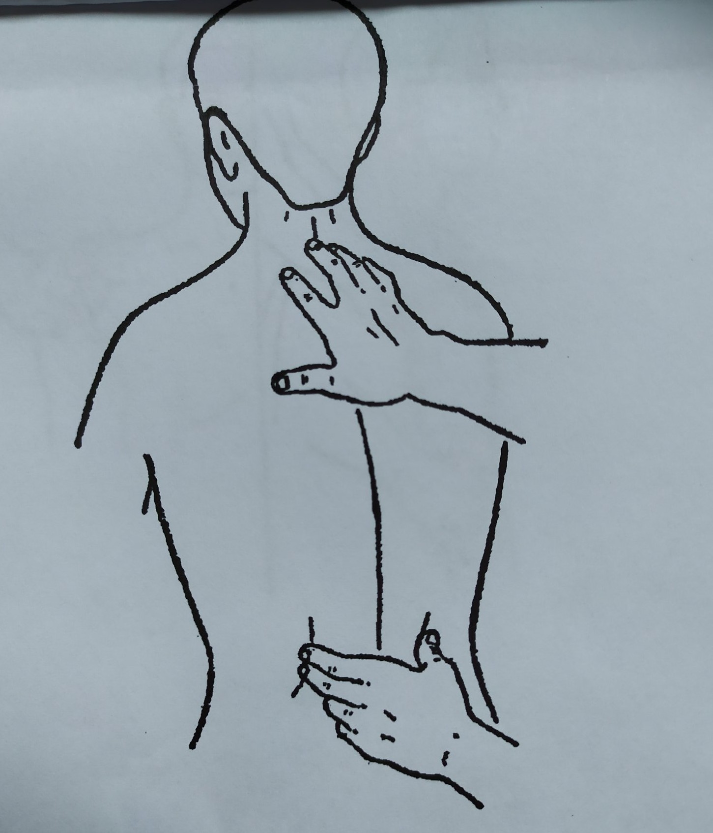 零基础学习中医按摩,零基础学中医按摩