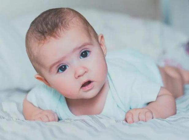 0到3岁幼儿养育手册,人类幼崽养育手册