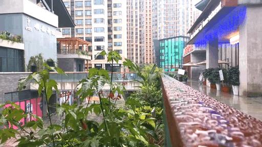 郫都犀浦太古里图片,犀浦太古里最新视频