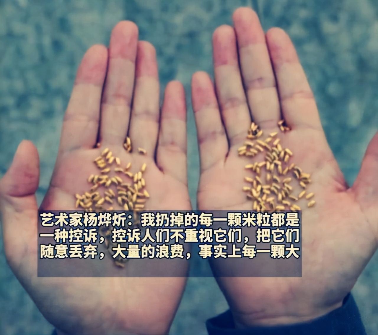 用500克黄金制1000粒米扔黄浦江,艺术家回应千粒金米扔黄浦江争议