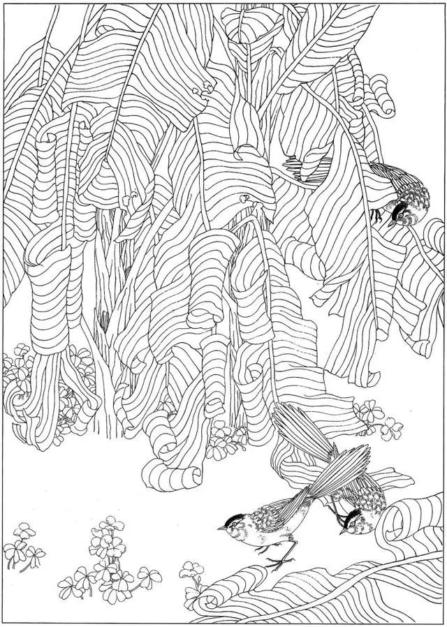 工笔花鸟白描步骤图,牡丹六尺横幅白描工笔花鸟底稿