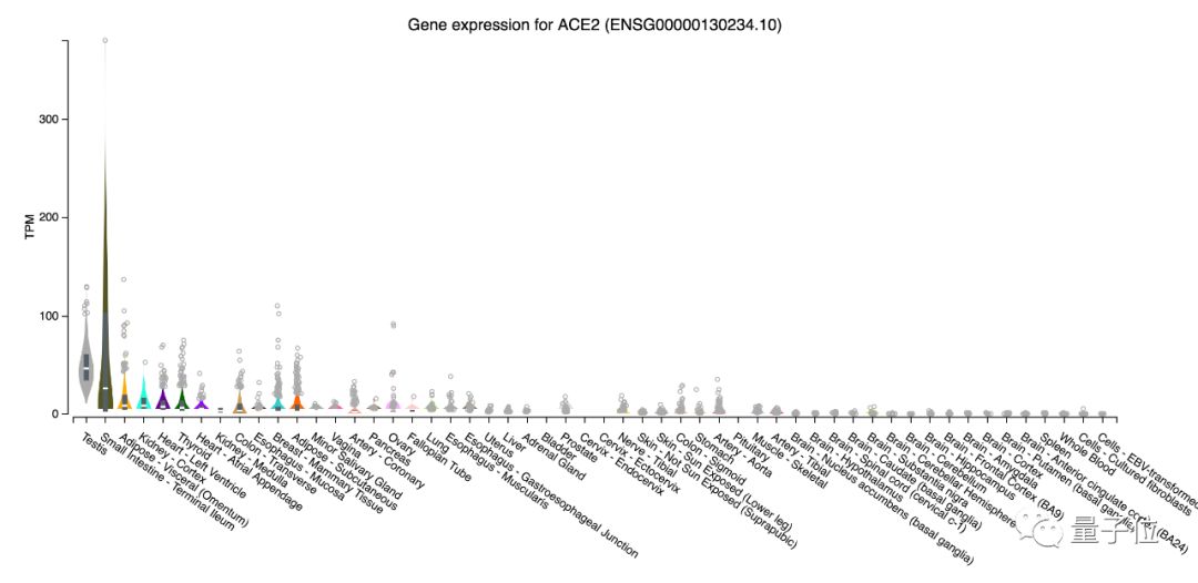 新冠睾丸损伤,新冠损伤睾丸