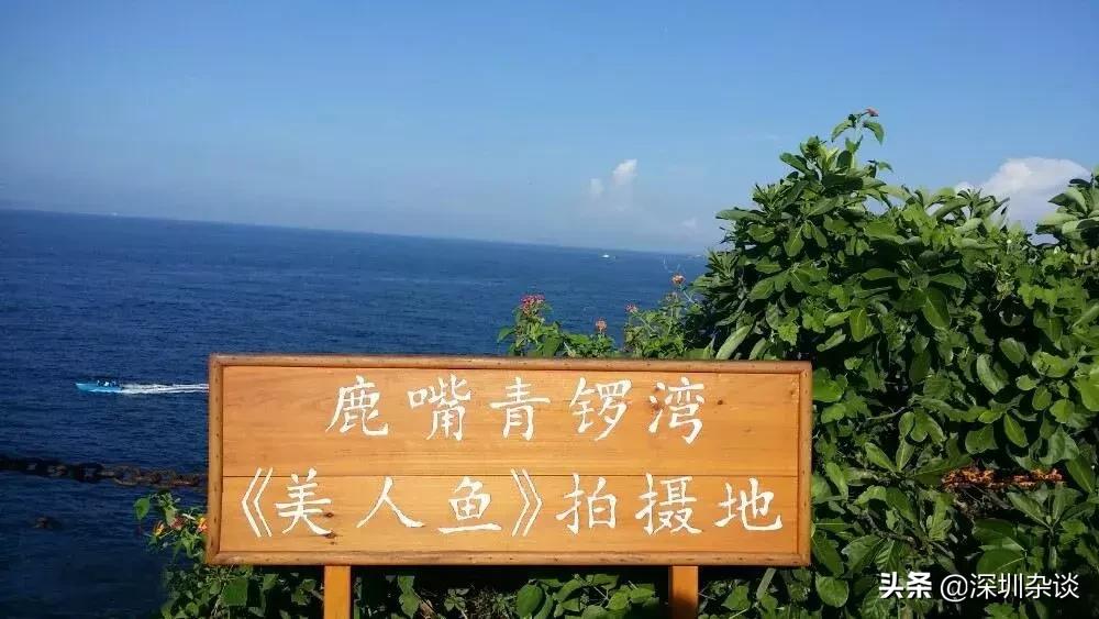 深圳杨梅坑溪谷,深圳最美溪谷杨梅坑