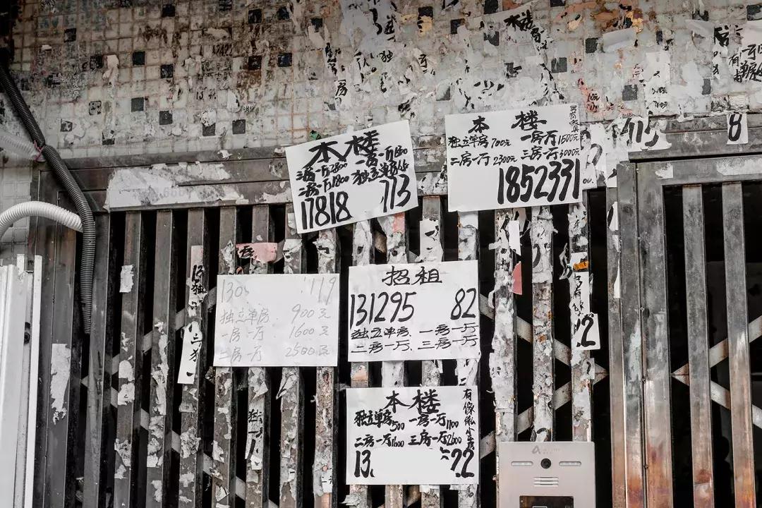 白石洲城中,白石洲的海边