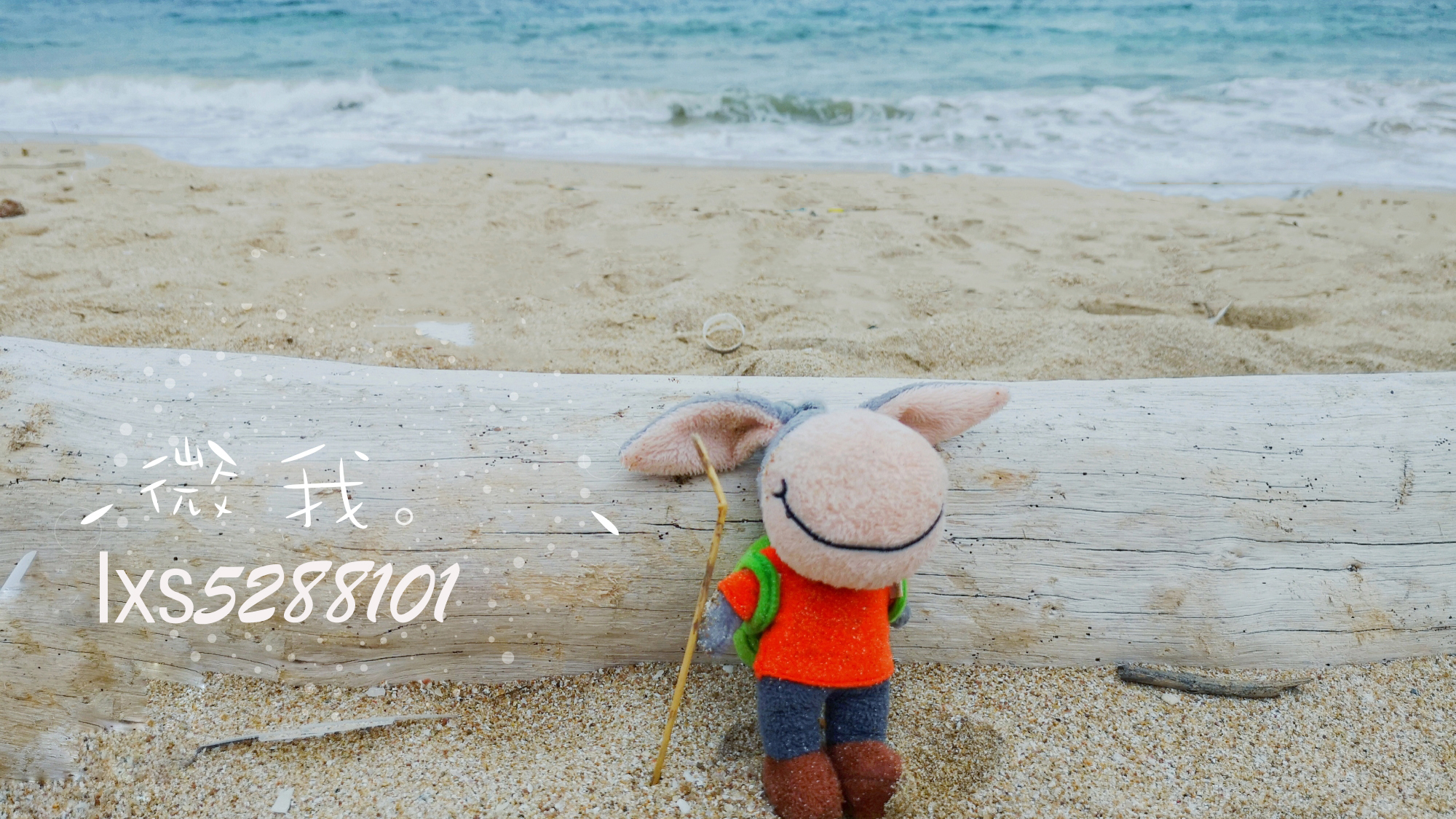 惠东巽寮湾性价比高的酒店,巽寮湾性价比高的酒店推荐