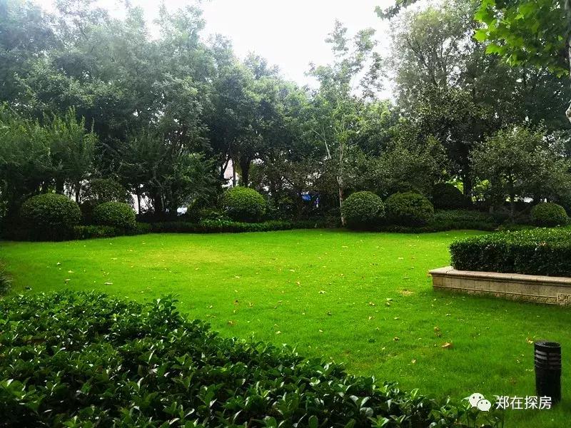 恒大名都质量好吗,恒大名都洋房的缺点