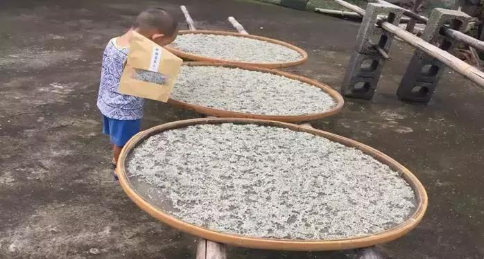 湖南张家界莓茶真的那么好吗,张家界莓茶简单介绍