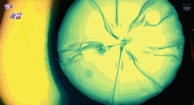 2019最被低估的电影排行榜前十名,10部被低估的恐怖片你看过几部