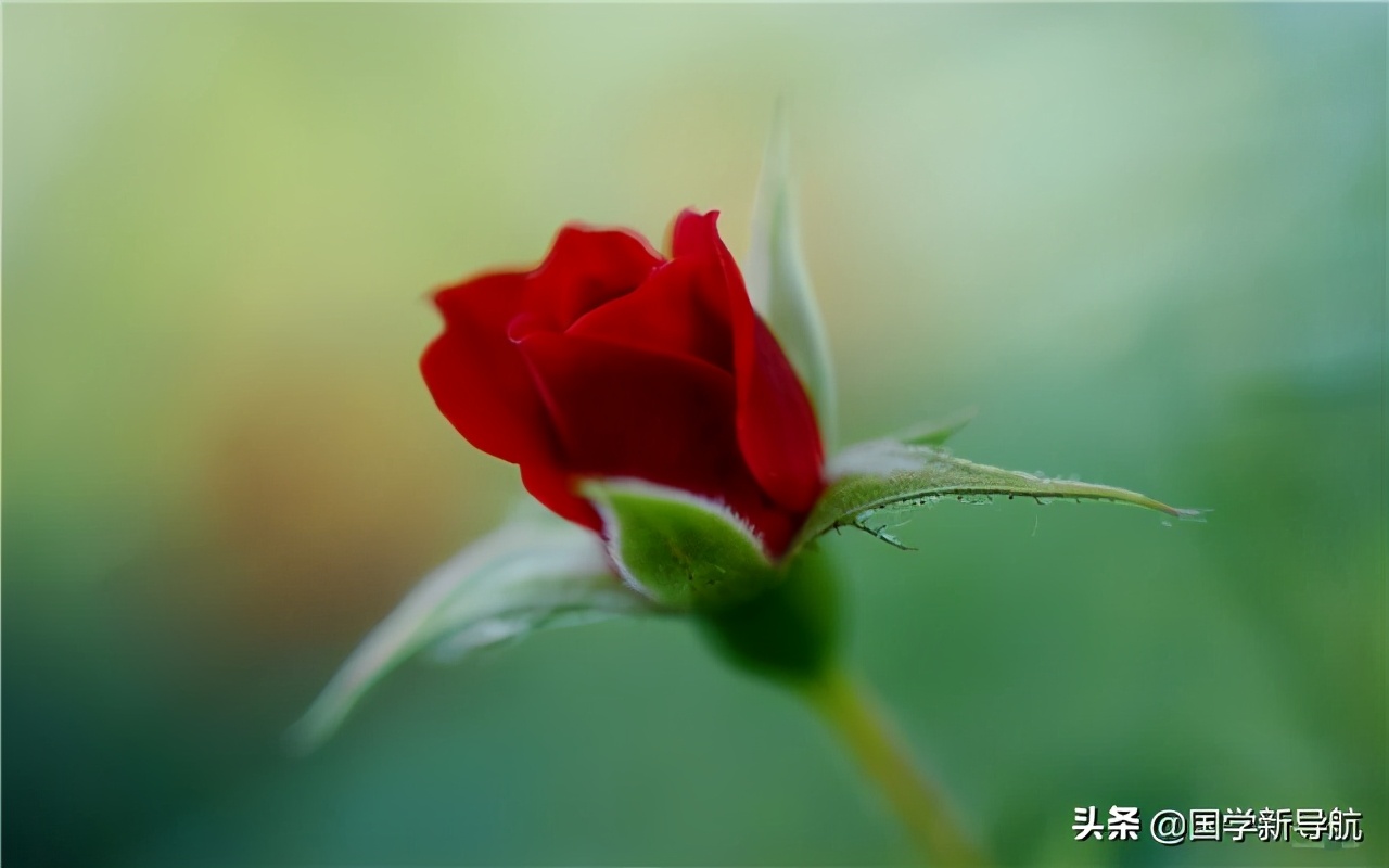 道德经第39章的心理感悟,《道德经》如何解除事业困惑