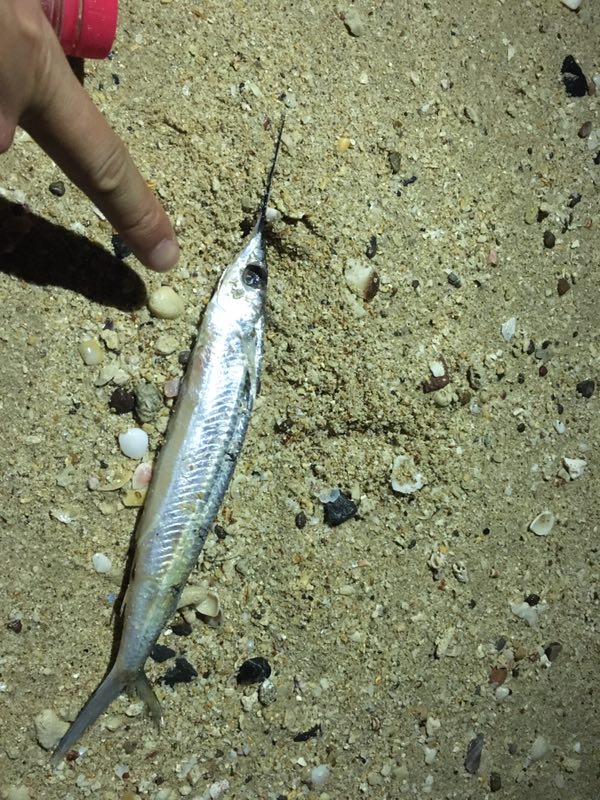 第一次去泰国旅游需要带什么,第一次到泰国旅游需要带什么