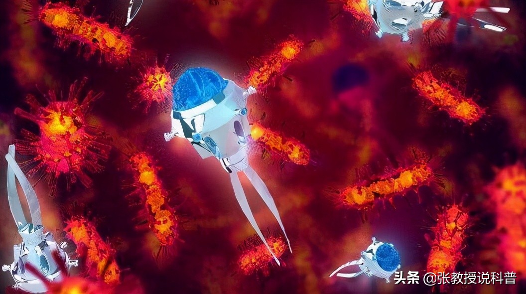 全球首个能自我繁殖的活体机器人,首个活体机器人青蛙细胞