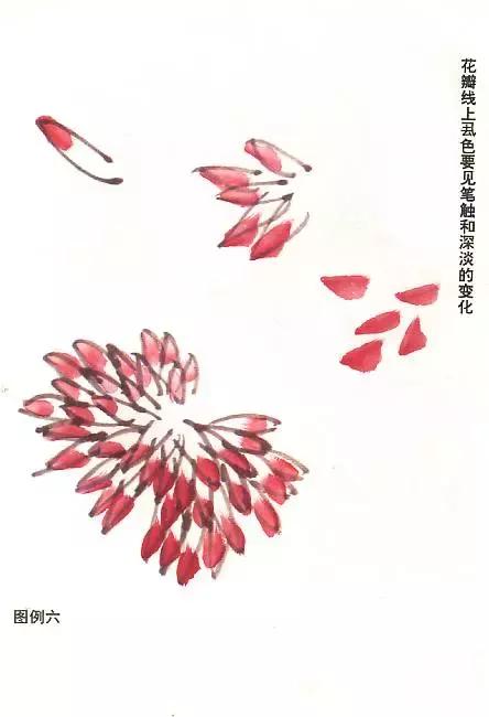 胡玉德菊花国画技法步骤,菊花叶子国画教程