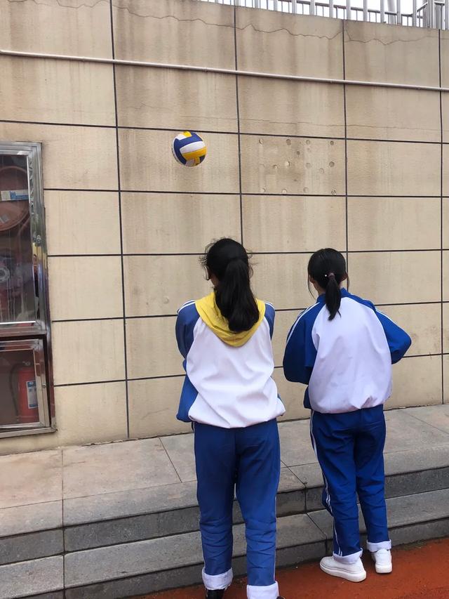 临渭区育红中学校园,渭南市临渭区育红初中