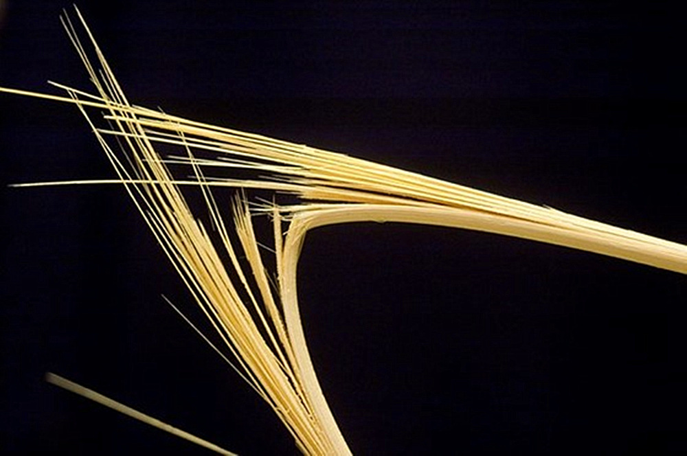 只要速度够快，竹筷子也能射穿坦克钢板？