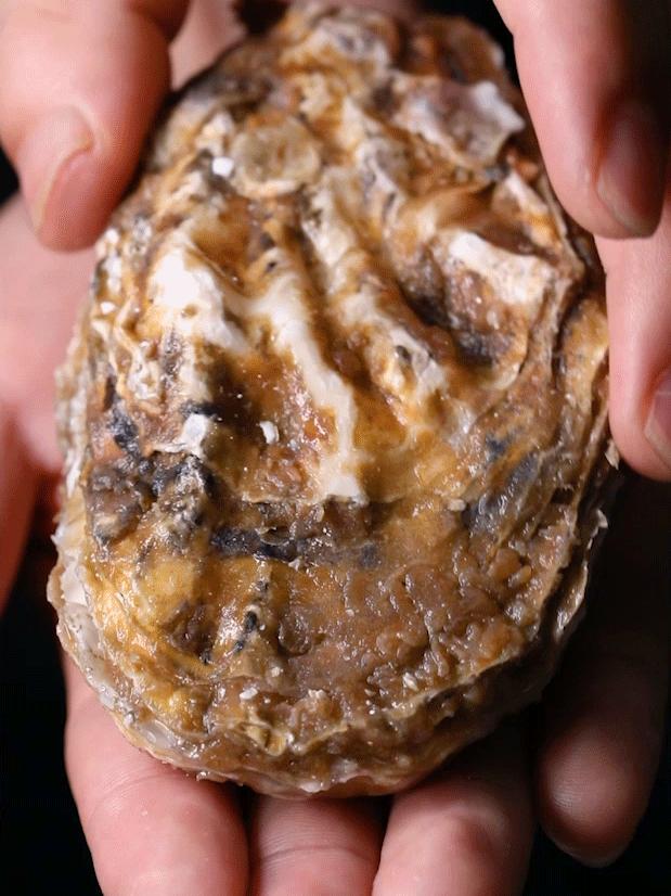 日料店深圳华强北,深圳日式烤鳗鱼推荐