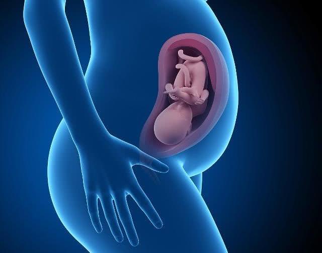 整个孕期可以吃枸杞吗,整个孕期能不能吃蒜