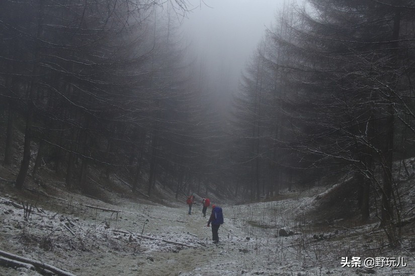 小众精品,与众不同:安利一个来自北欧的靠谱品牌Lundhags隆哈