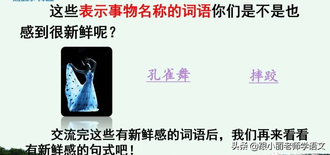 大青树下的小学重要背诵内容,大青树下的小学重点知识点