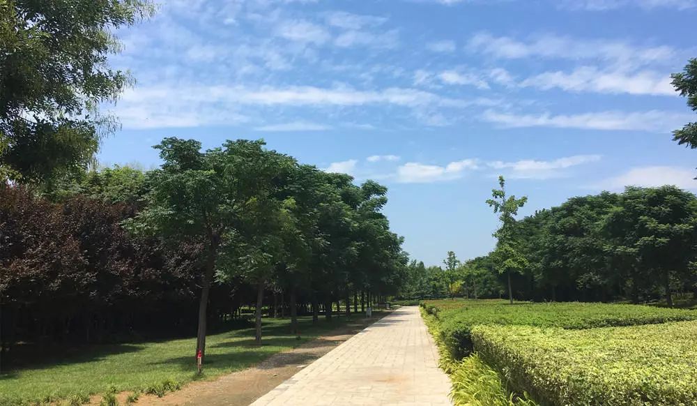 郑州有没有哪些免费的运动场馆,郑州免费开放体育场