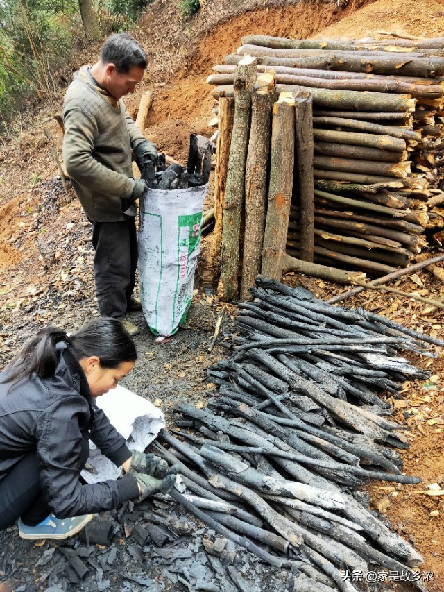 真正的果木炭原木炭,传统木炭怎么烧炭