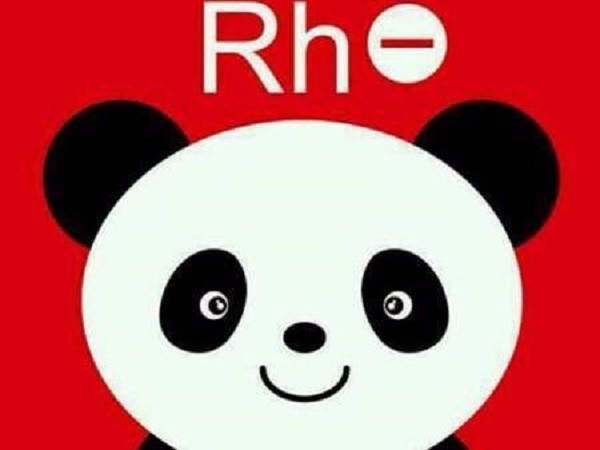 rh阴性熊猫血献血有什么政策吗,rh阴性熊猫血发生溶血