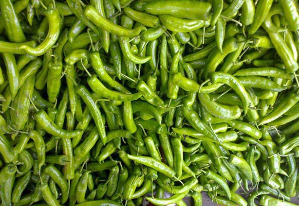 泡椒怎么腌辣椒不坏,整个辣椒怎么腌泡椒