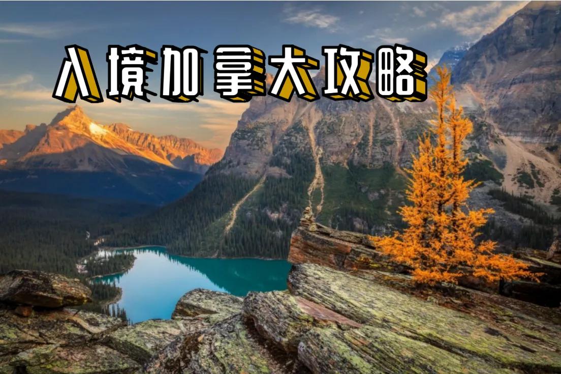 加拿大入境申报,入境加拿大攻略