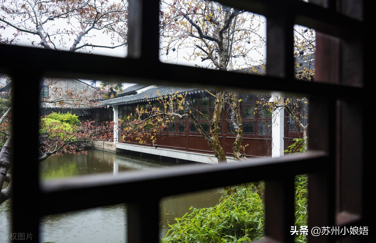 外地人眼中的苏州女孩,苏州印象最深的人