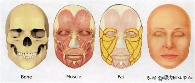 下颌角大瘦脸前后对比,下颌角宽的脸方怎么达到视觉效果