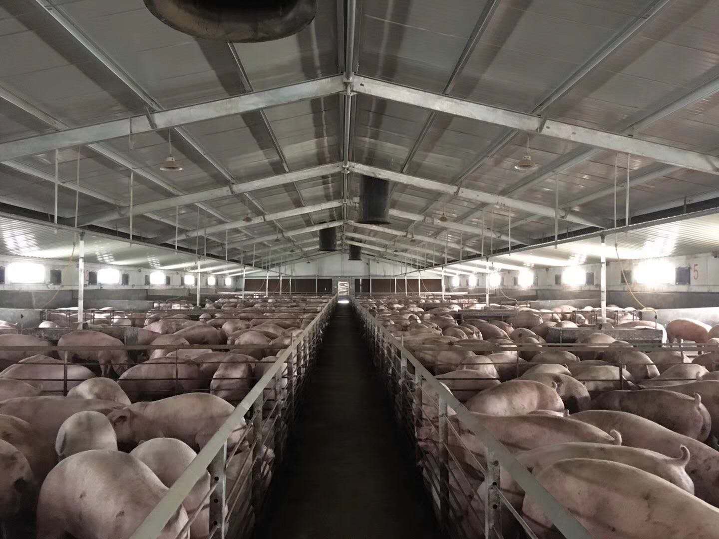 重庆农商行资本充足率,重庆农商银行农业贷款