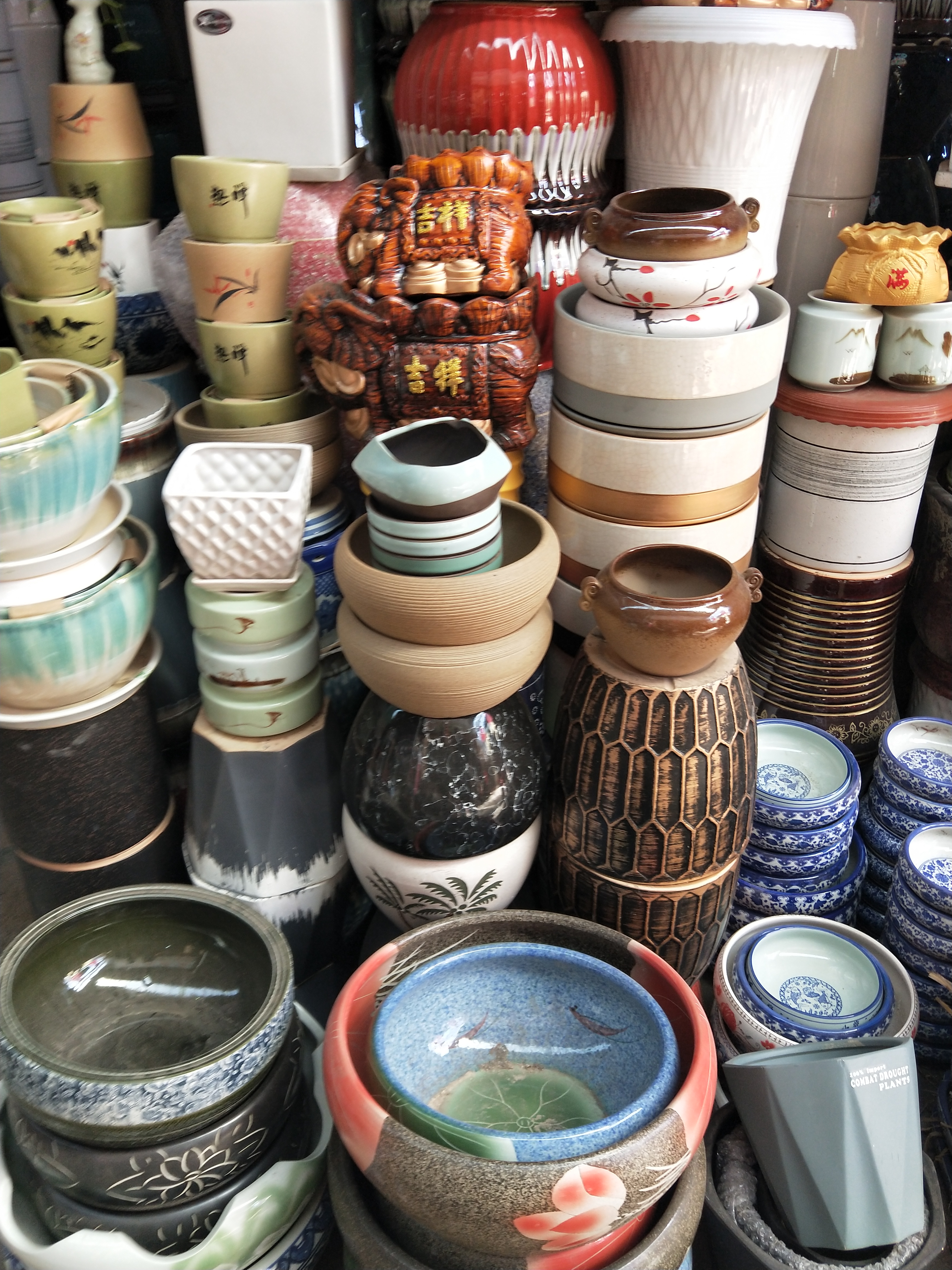 天津哪里有多肉卖,天津市多肉植物基地在哪里