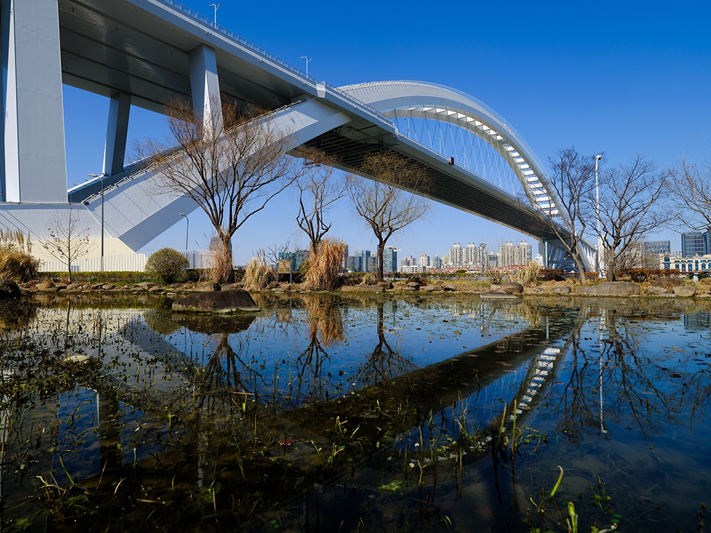 富士中画幅gfx100ii评测,富士中画幅gfx100s和gfx50r的区别