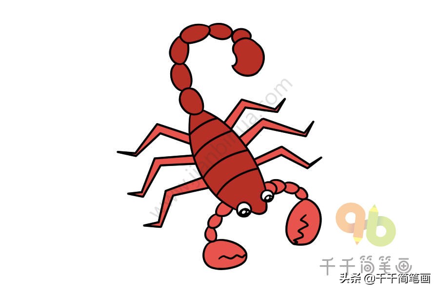 昆虫简笔画和介绍,昆虫简笔画及简介