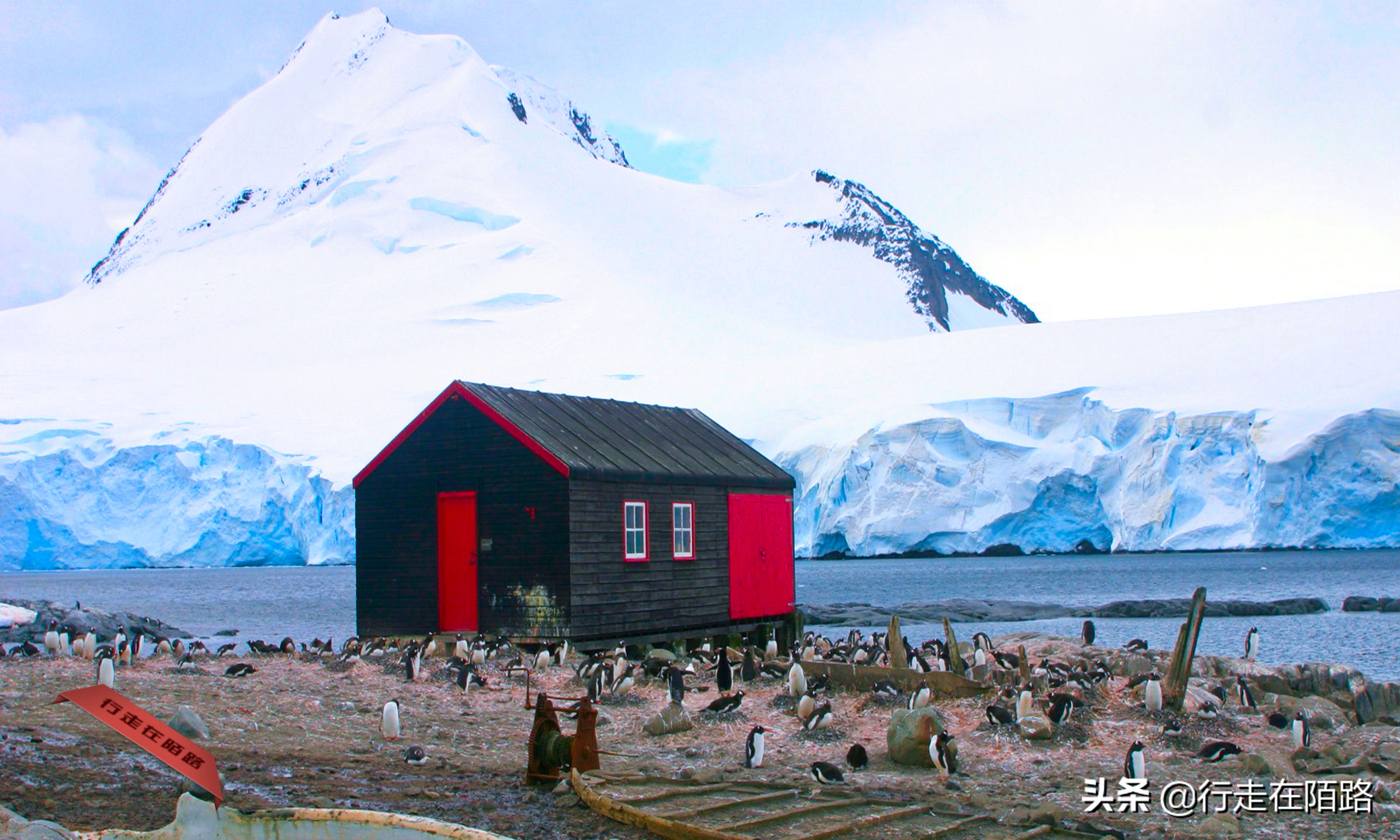 铲屎官的工资,铲屎官工资一天多少钱