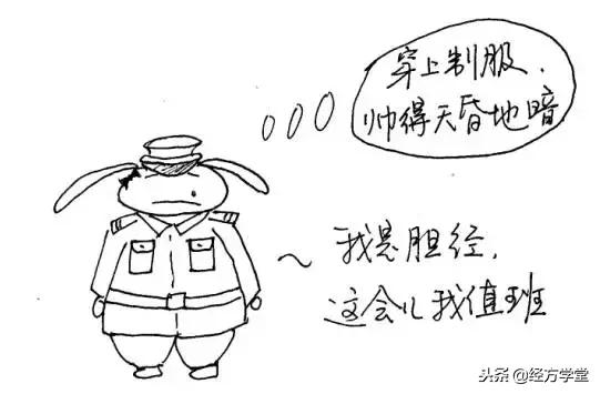 中医12经络挂图,漫画中医经络图典