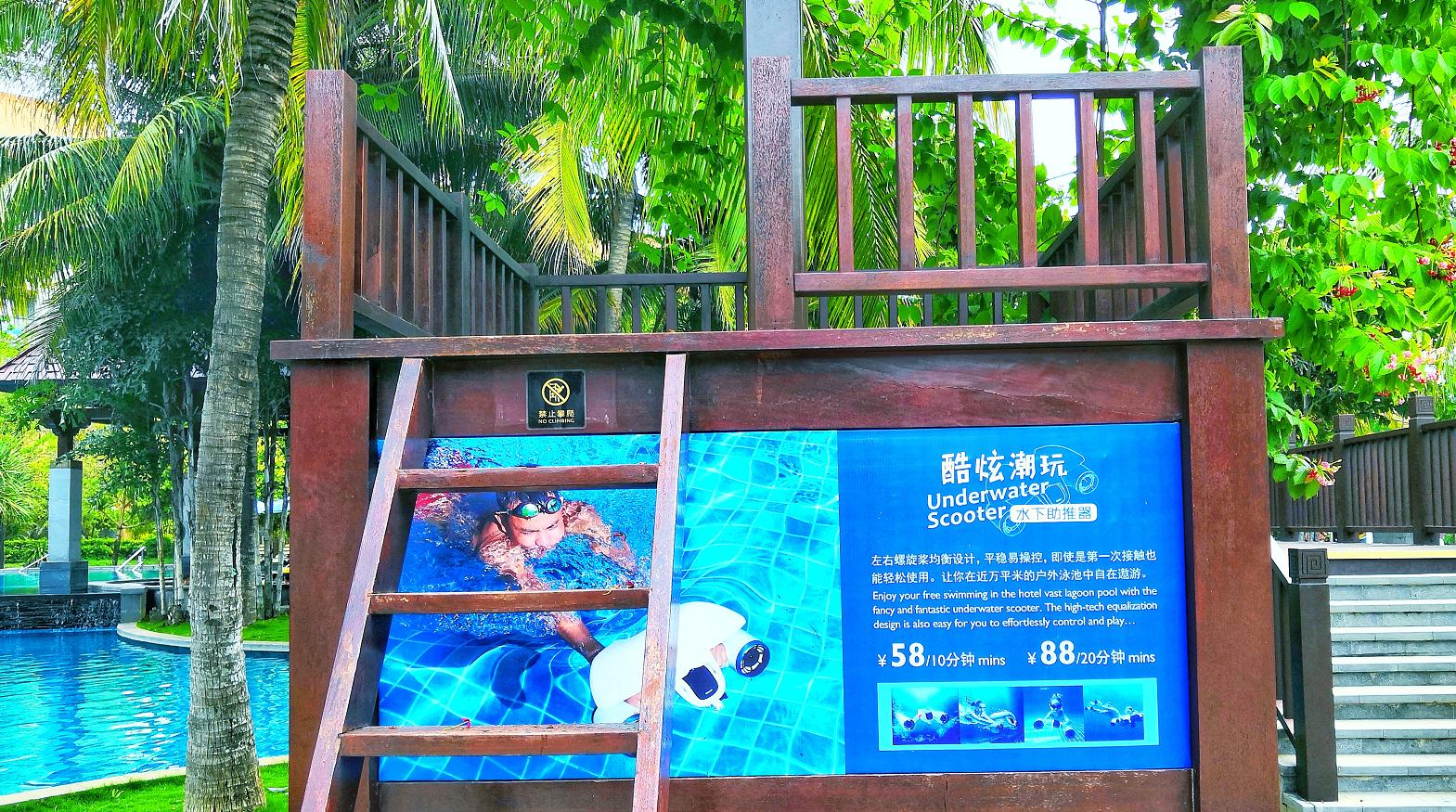 都是网红惹的祸,都是网红惹的祸完整版