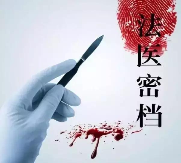 让尸体开口“说话”，央视爸爸手把手教你破悬案！