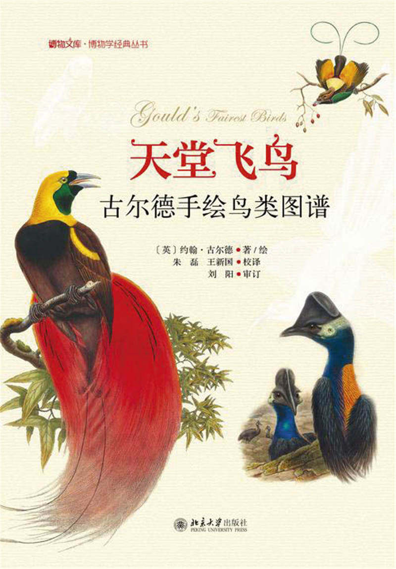 最好的鸟类图鉴,常见的鸟类图鉴