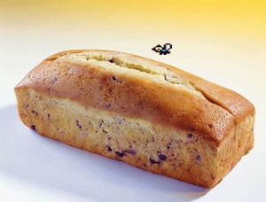 苍蝇在食物上干了什么,苍蝇落在食物上都做了什么