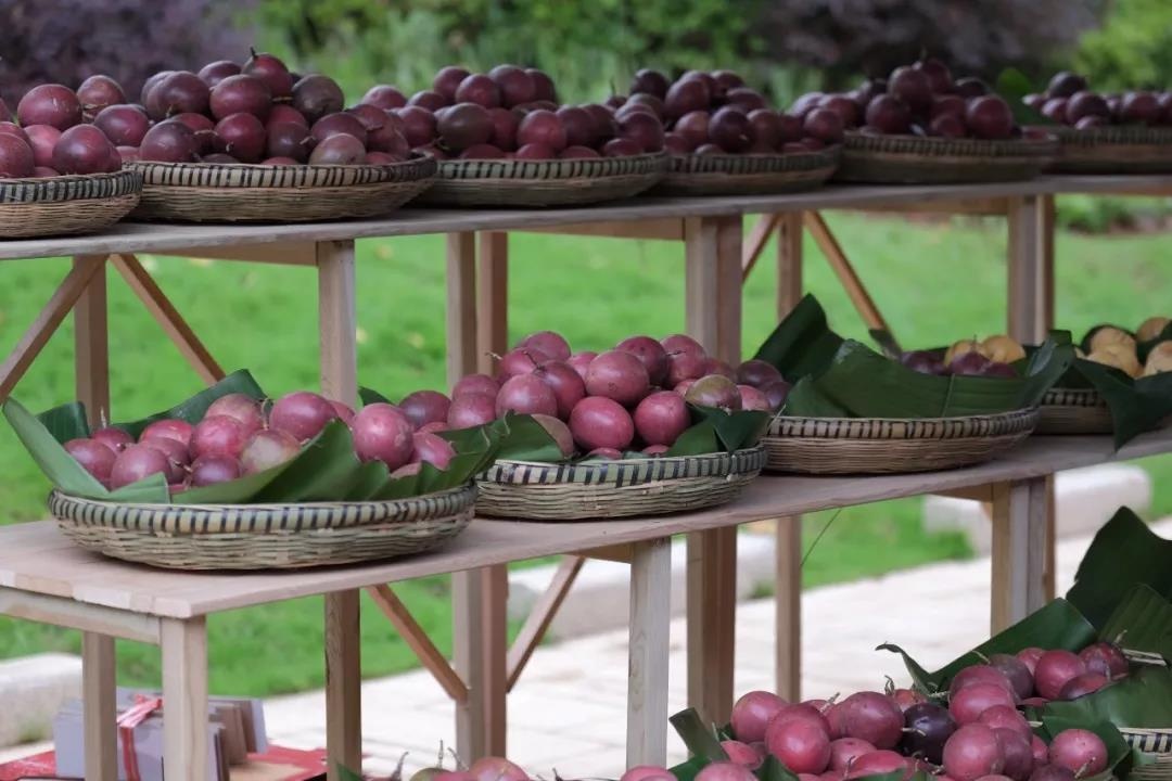 昆明高原的呼唤视频,昆明高原的呼唤