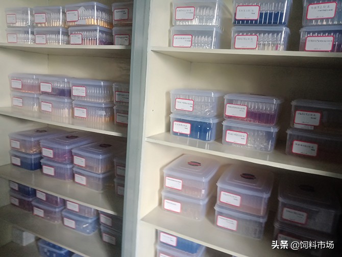 绿色无抗饲料齐鲁行之神牛药业：用制药工艺智造替抗精品