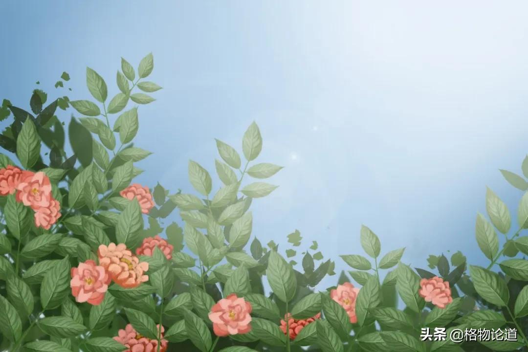 初三复习资料推荐全一册,超级好用的复习资料