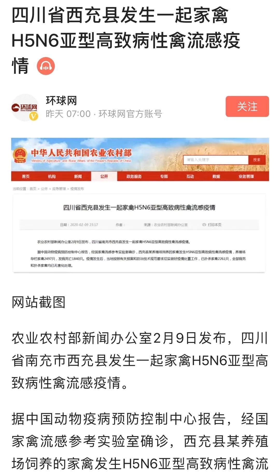 疫情中的替代性创伤,疫情替代性创伤